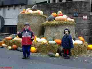 Zur Galerie K&uuml;rbisfest